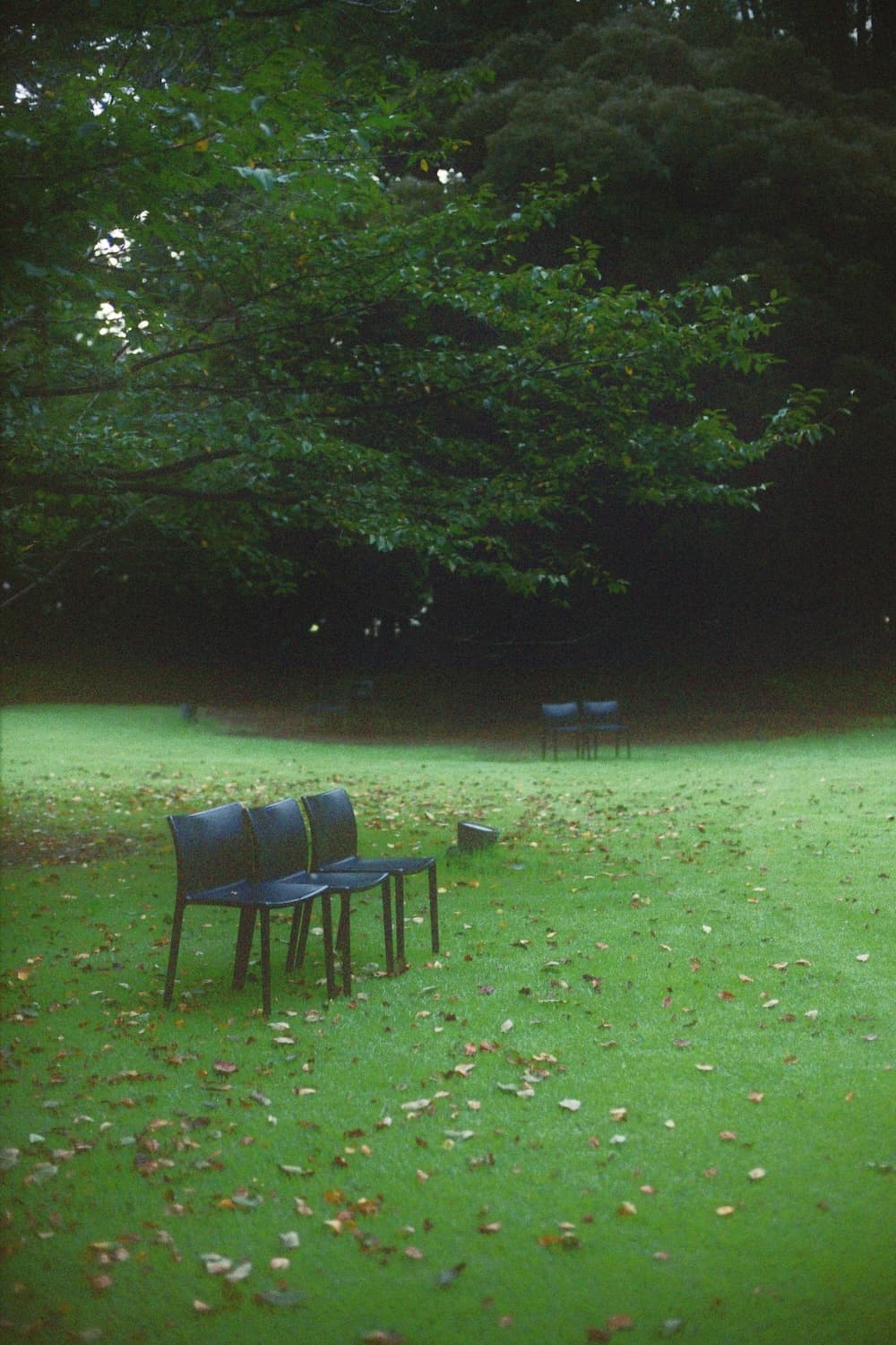 Chairs on green grass